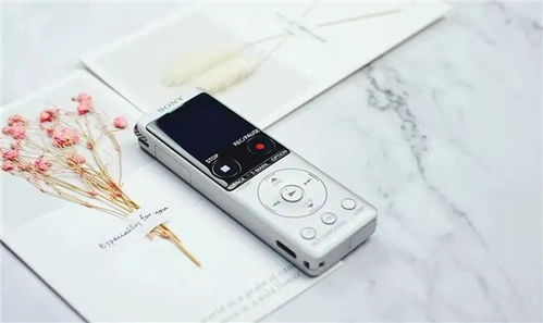 專業(yè)與趣味并存 索尼ICD-UX570F錄音筆的“小花招”